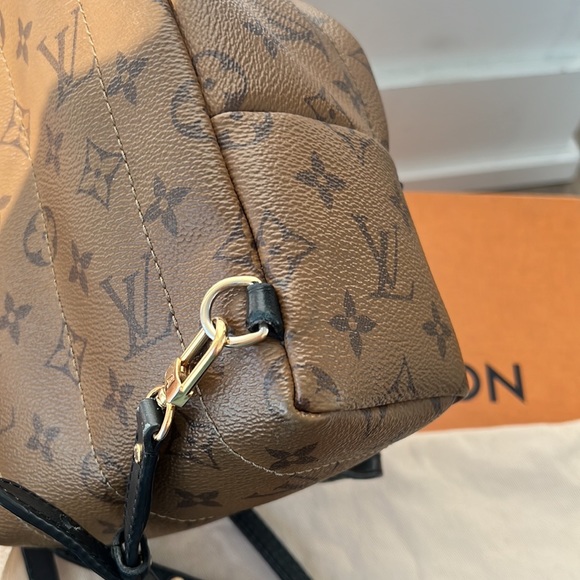 Palm Springs Mini Reverse Monogram - Picture 15 of 17